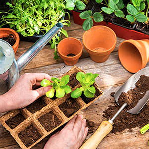 PRODUCTOS JARDINERÍA