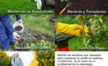 mantenciones copia mantenciones copia