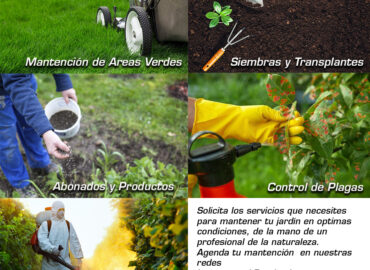 mantenciones copia